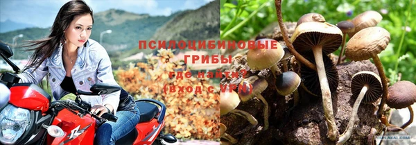 стаф Белоозёрский