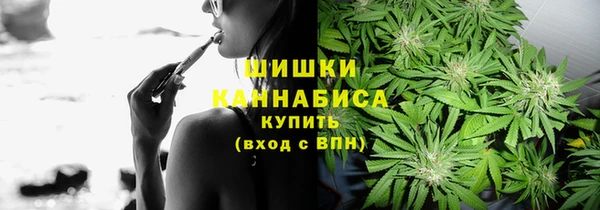 крисы Богданович