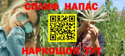 индика Обь