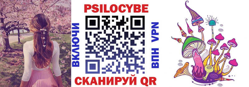 Псилоцибиновые грибы Cubensis  Сланцы 