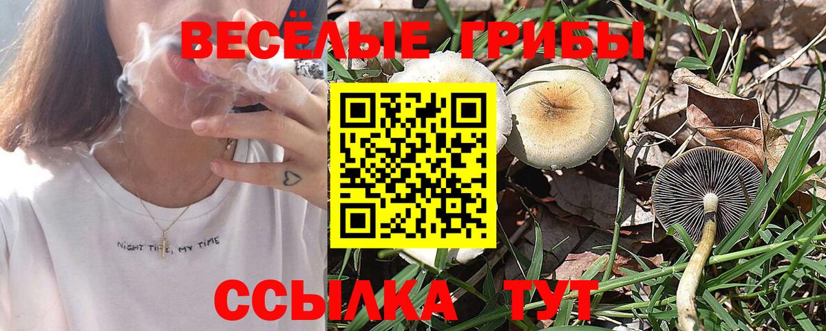 Псилоцибиновые грибы ЛСД  Вход с VPN  Сланцы 